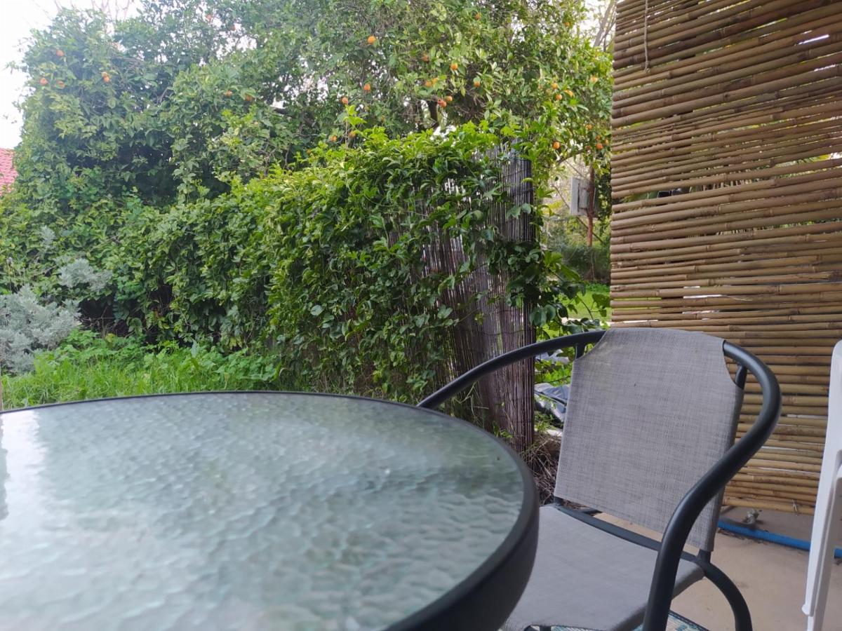 אצלנו בקיבוץ Apartment Amir ภายนอก รูปภาพ